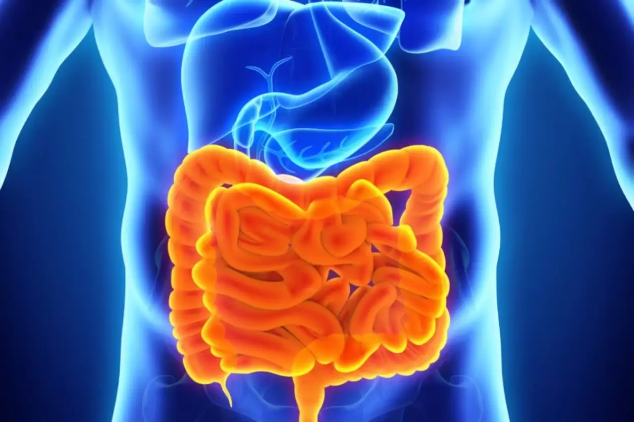 Se hai sempre questi fastidi digestivi potresti avere la flora intestinale completamente alterata