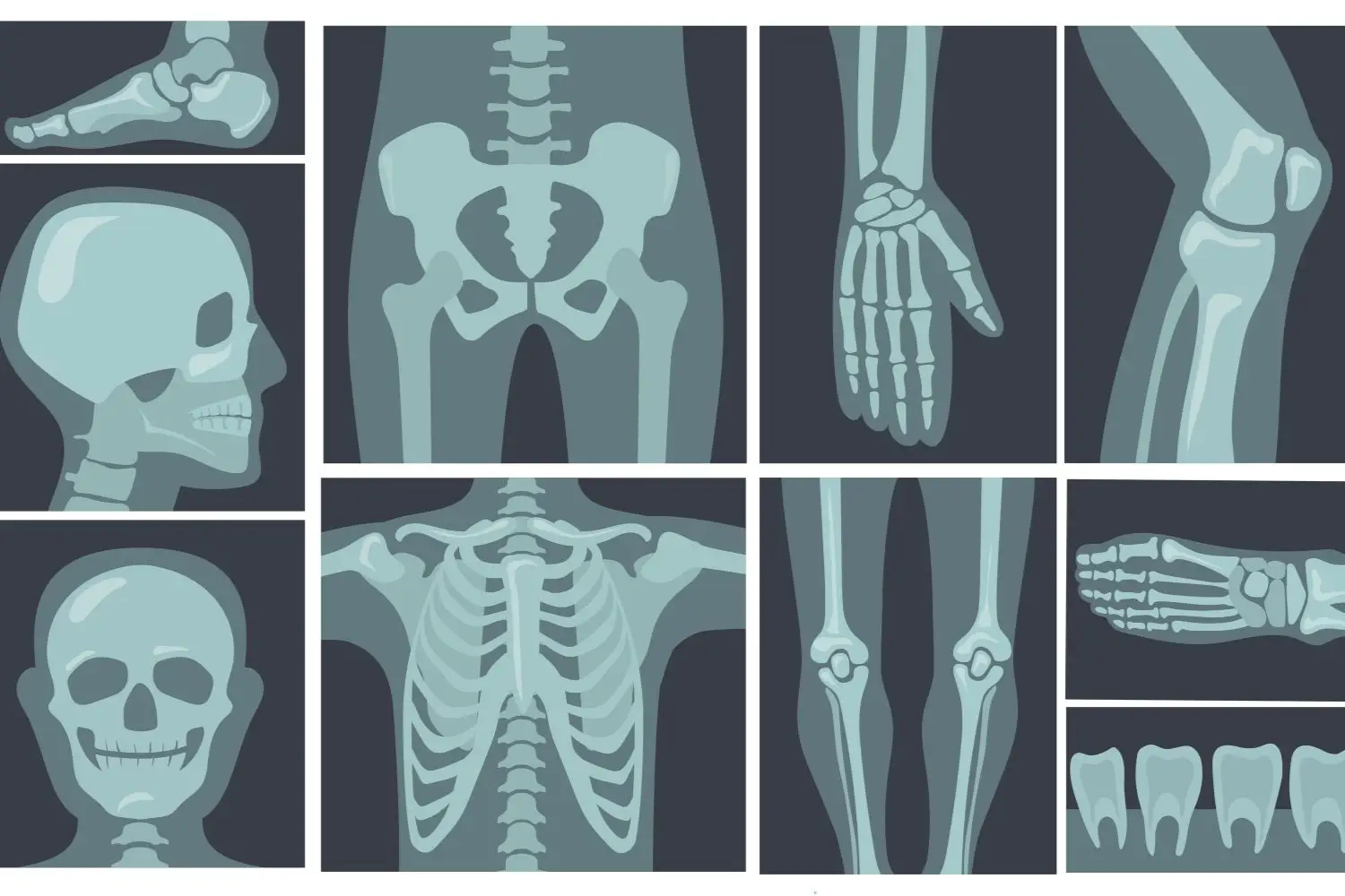 Stai buttando via le tue vecchie radiografie? Ecco quanto tempo devi conservarle per legge