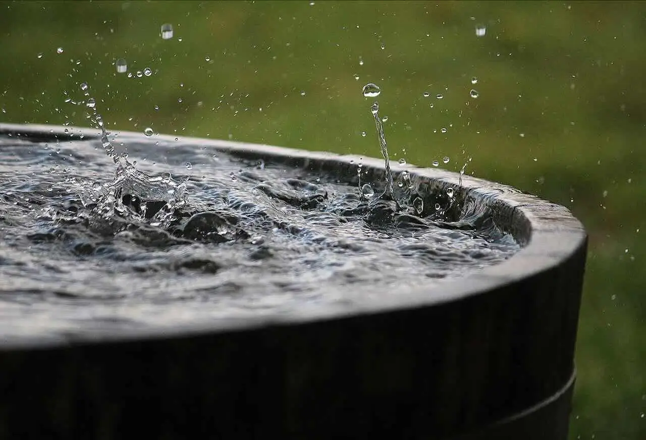 Il trucco per conservare e utilizzare l’acqua piovana gratis nel tuo giardino